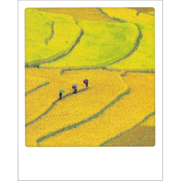 Postkarte von Aquarupella aus der Serie Bon Voyage. Auf der Fotografie sieht man drei Menschen mit Sonnenschirm durch terrassierte Reisfelder gehen.
