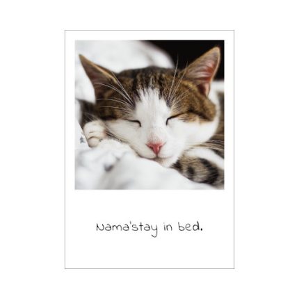 Postkarte Namaste mit dem Bild einer schlafenden Katze und einem Wortspiel in Englisch - Nama'stay in Bed